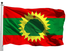 Regarding the Call for Peace Made by the Regional Government of Oromia
