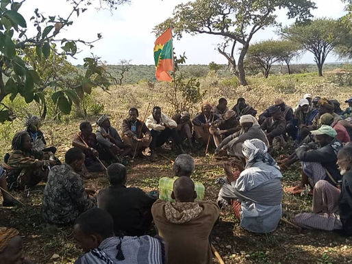 The Abiy Regime's attempts to instigate clashes between Oromo and Somalis have been foiled