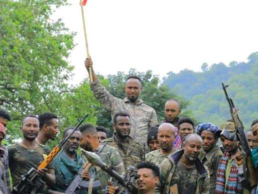 ONM NEWS: Militants From Amhara State Loot and Burn Village in Metekel